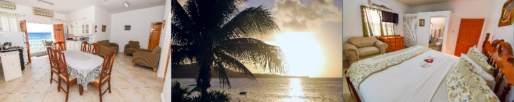 Beach Views